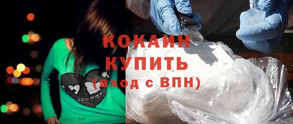 дживик Новодвинск