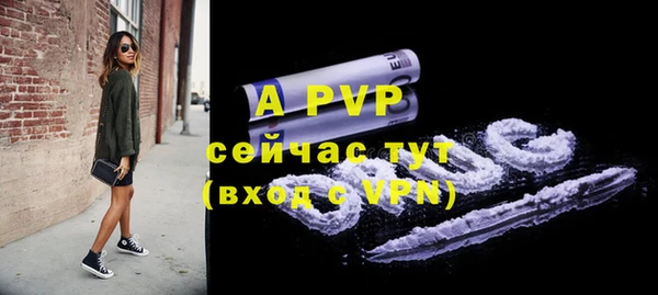 a pvp Новозыбков