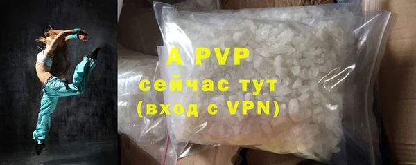 a pvp Новозыбков