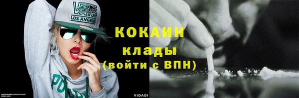 a pvp Новозыбков