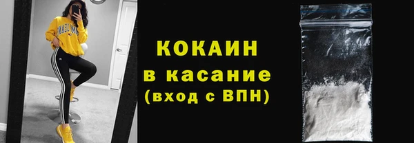 дживик Новодвинск