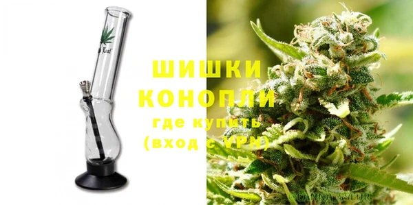 a pvp Новозыбков
