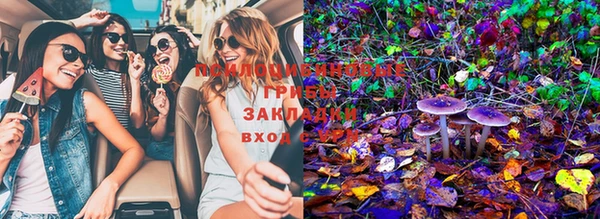 дживик Новодвинск