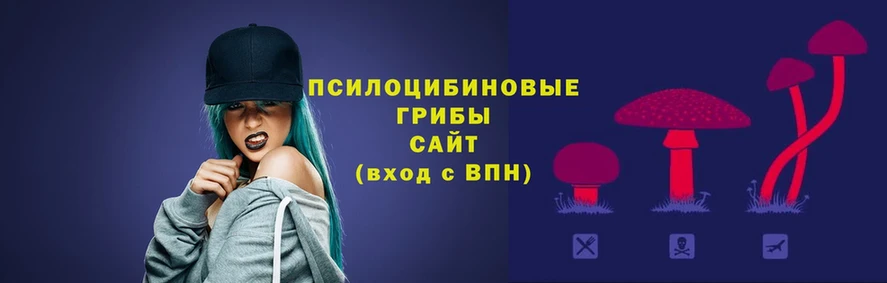 цена наркотик Алдан Галлюциногенные грибы ЛСД